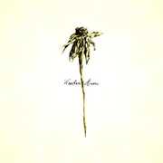 Wooden Arms , Patrick Watson