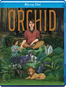Orchid 