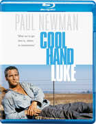 Cool Hand Luke , Paul Newman
