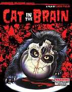 A Cat in the Brain , Lucio Fulci