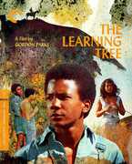 The Learning Tree (Criterion Collection) , Kyle Johnson