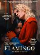 The Mysterious Gaze of the Flamingo 