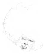 Sallow /  Pine , Will Long