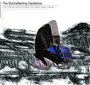 The Schmetterling Variations , Illusion of Safety & Others