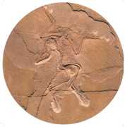 So Bizarrely Twisted , Ssse