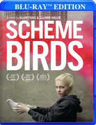 Scheme Birds