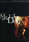 My Life as a Dog (Criterion Collection) , Göran Stangertz