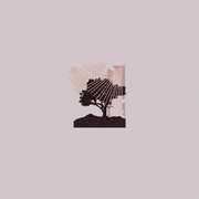 Performances (ecomix Vinyl) , Land of Talk