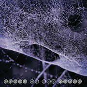 Speed Of The Stars , Speed of the Stars