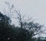 Rain , Sadness