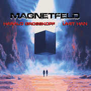 Magnetfeld , Magnetfeld