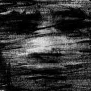 Birds Drink My Blood , Born Erased