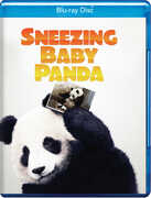 Sneezing Baby Panda 