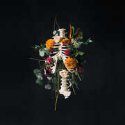 Graves Into Gardens , Elevation Worship