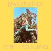 Other Possibilities , Naytronix