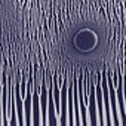Grimm Robe Demos , Sunn O)))