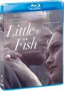 Little Fish 