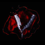 Bleeders , Black Veil Brides