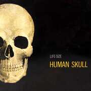 Human Skull Life-Size Anatomy Kit 1:1 Scale Model Kit 