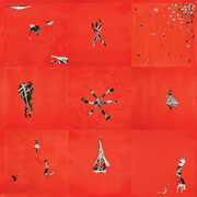 Hollinndagain , Animal Collective