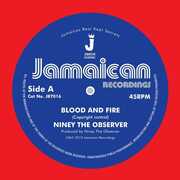 Blood And Fire/ Brimstone And Fire , Niney the Observer