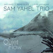 Quiet Flow , Sam Yahel