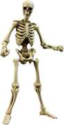 Skeleton Classic Bone - EPIC H.A.C.K.S. 1/ 12 Scale Action Figure