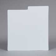 Bags Unlimited DLPP305PK - 12 Inch LP Divider Cards - 30 Guage - 5 Pack (White) 