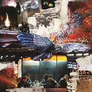 American Nights , Plain White T's