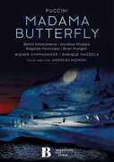 Madama Butterfly , Annalisa Stroppa