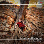 Kosmos Und Fragment , Marie Rosa Gunter