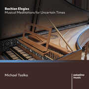 Bachian Elegies: Musical Meditations For Uncertain Times , Michael Tsalka