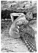 For The Birds , Patrick Lysaght