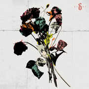 Ei8ht , Shinedown