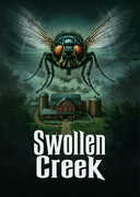 Swollen Creek 