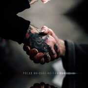 No Cure No Saviour , Polar