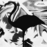 Black Flamingo , Mike Cooper