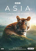 Asia 