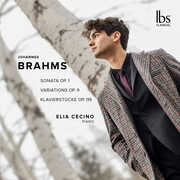 Brahms: Piano Works 