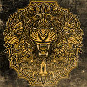 Animal Chapters , Ciconia