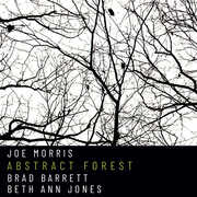 Abstract Forest , Joe Morris