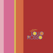 Lollo Rosso , The High Llamas
