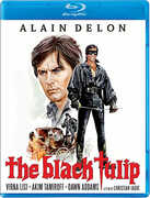 The Black Tulip , Alain Delon