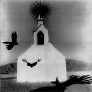 Ink & Oil [Import] , Laetitia Sadier & Storefront Church