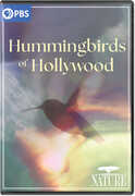 NATURE: Hummingbirds of Hollywood , Terry Masear