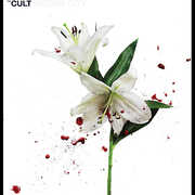 Hidden City , The Cult