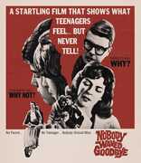 Nobody Waved Goodbye 