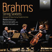 String Sextets Arranged for Piano Trio by Theodor Kirchner , Duccio Ceccanti