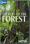 NOVA: Secrets of the Forest , Katherine Fenton