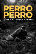 Perro Perro 